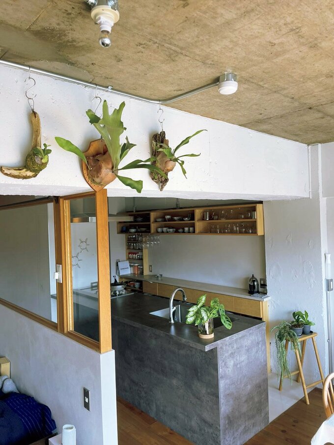 多肉植物のあるリビング