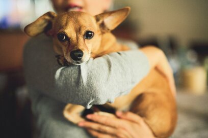 結城アンナさん・岩城滉一さん夫妻と保護犬の出会い。「"オジー"は私達の心の支え」