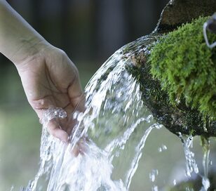 ※応募は締め切りました。「ミライズ」500ml×24本（1ケース）を5名に！【11／12（火）まで】