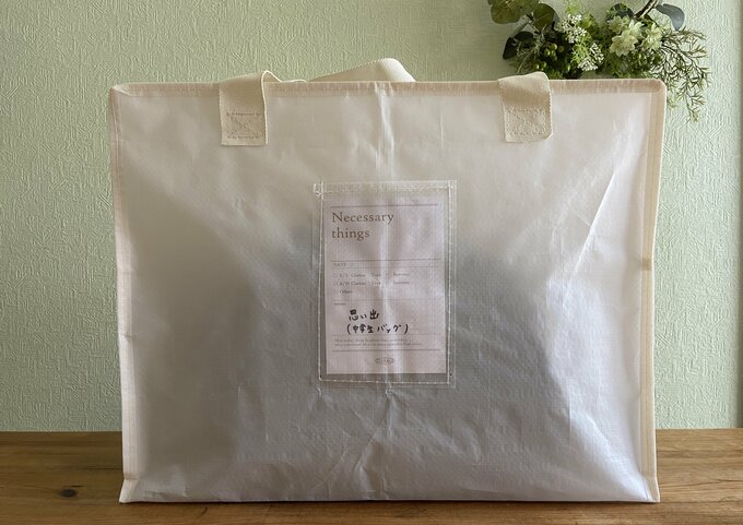 「シアーボックスバッグ：Lサイズ(3coins)」