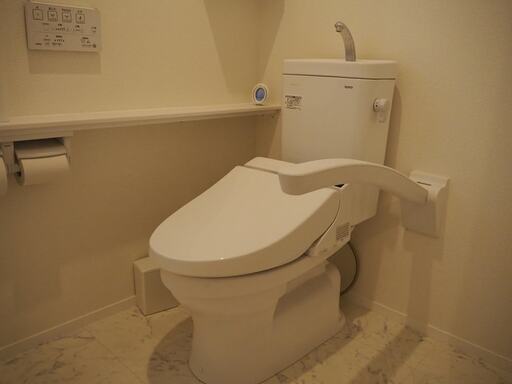 トイレの手すり。使うときの状態