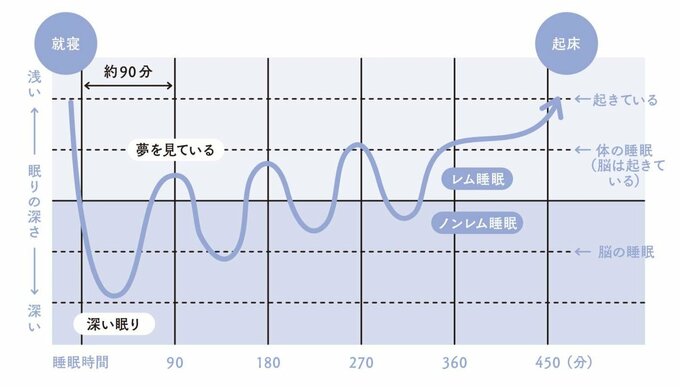 レム睡眠とノンレム睡眠