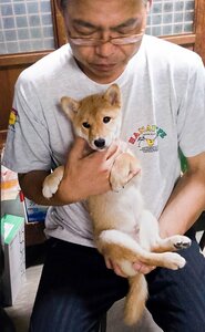 5月に4歳の誕生日を迎えた