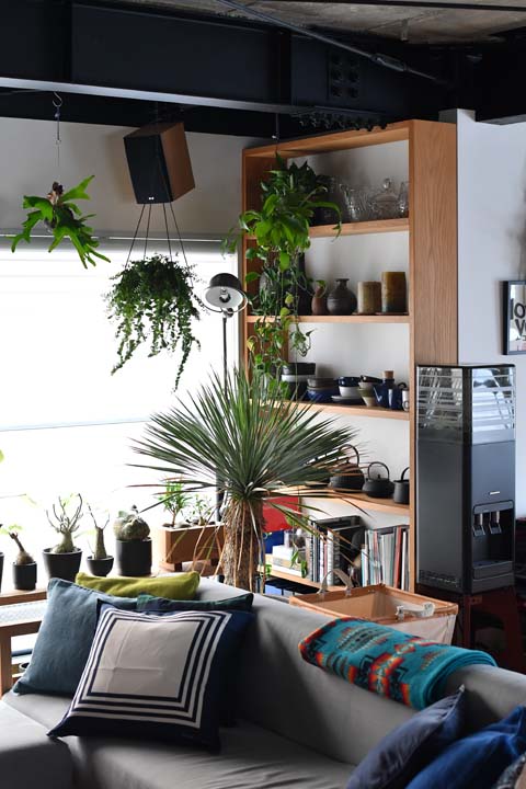 個性豊かな植物たち