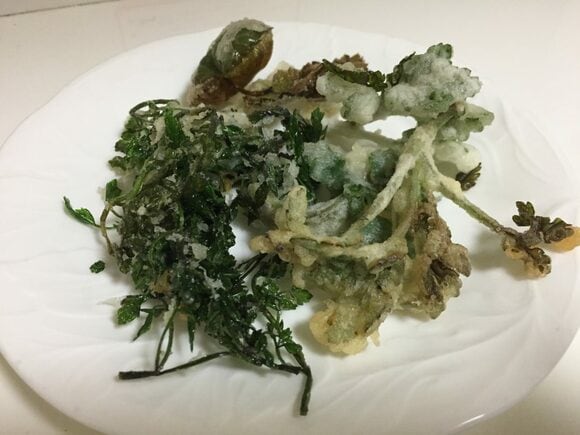 ハコベやヨモギなど庭に生えている野草は、立派な夕食の一品に