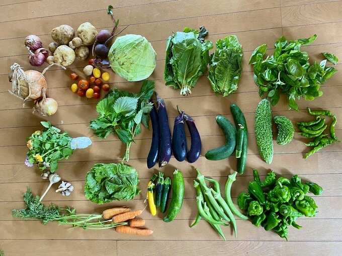 たくさんの野菜