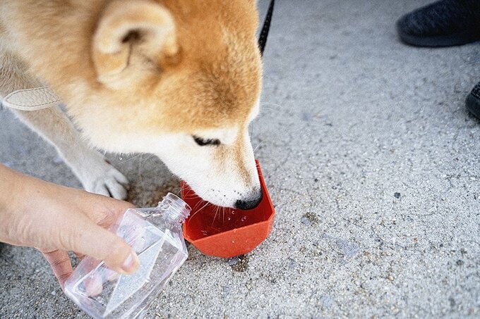 書籍オリジナルのコラムや写真も多数掲載