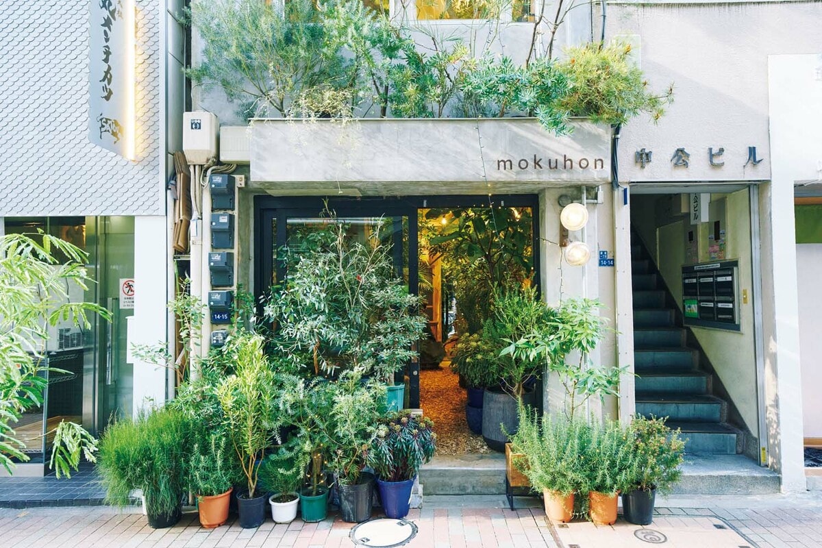 銀座の植物専門店「mokuhon」 大型 植木鉢 銀座の植物専門店「mokuhon」 大型 植木鉢