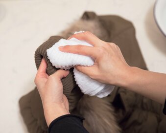 お湯でふくだけ！ダウンやトレンチコートの洗い方