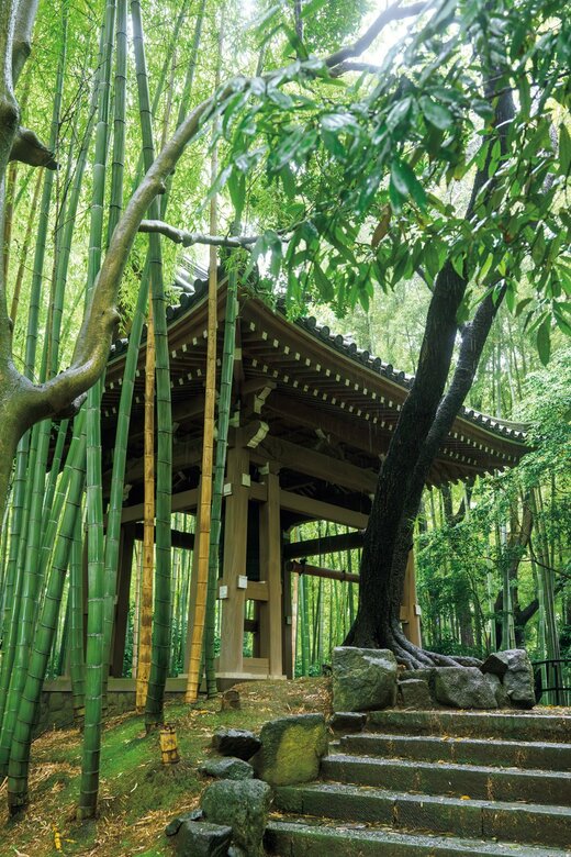 竹林にある鐘楼