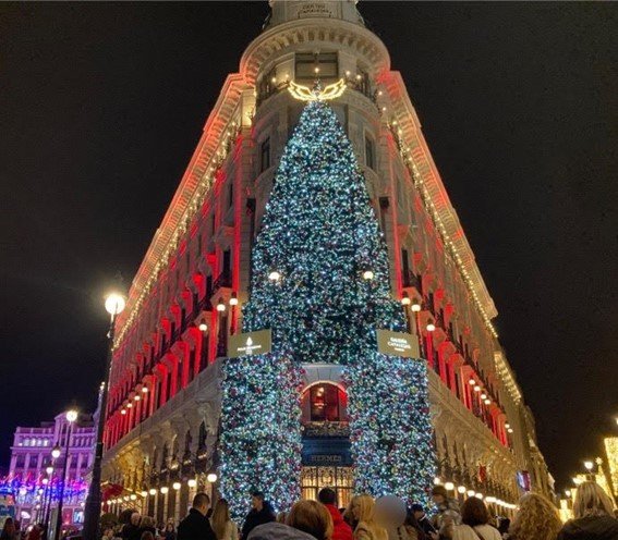 ハウスイルミネーション