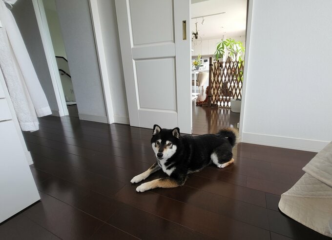 涼しい場所を各所につくる