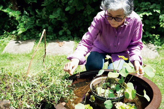 4匹のメダカに餌を与える午後のひと時。「秋には赤トンボが飛び交い、季節の訪れを教えてくれます」