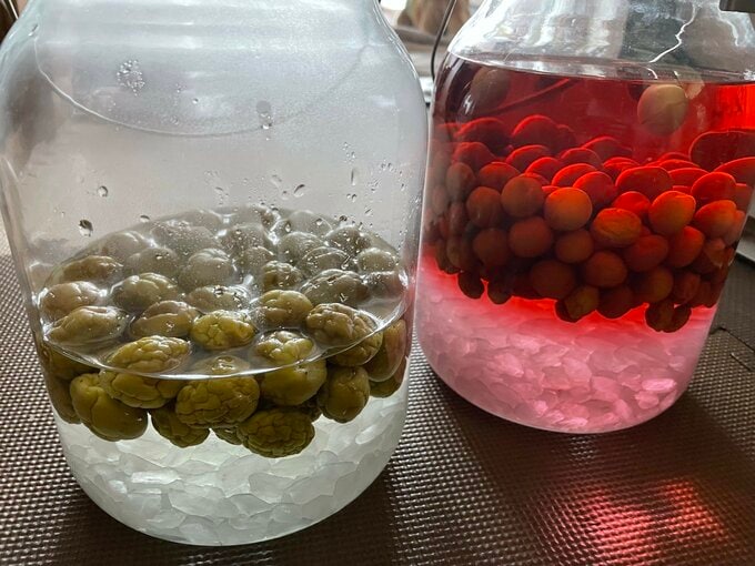 1週間後の梅酒と梅シロップ