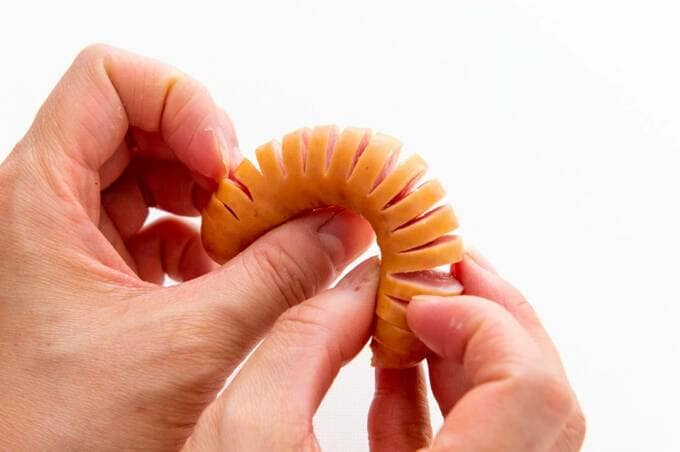 ソーセージ(たてがみ用)