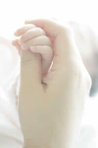 逆光、半逆光で撮る