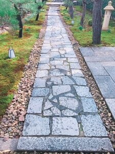 道