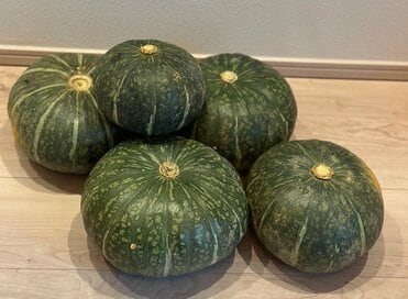 おいしいカボチャの見分け方＆保存法。「焼きマリネ」レシピでマンネリ防止