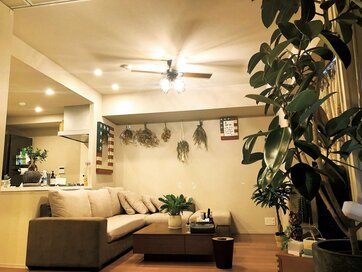 “収納大好き芸人”河井ゆずるさんも愛用！山崎実業の便利アイテム