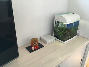 かぶと飾りもこんなにコンパクト。