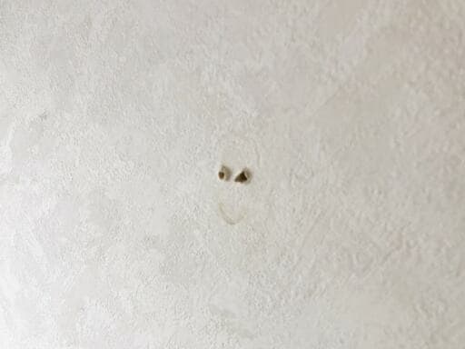 グラグラになったフックを取り外ずしてみると穴が広がっていた様子