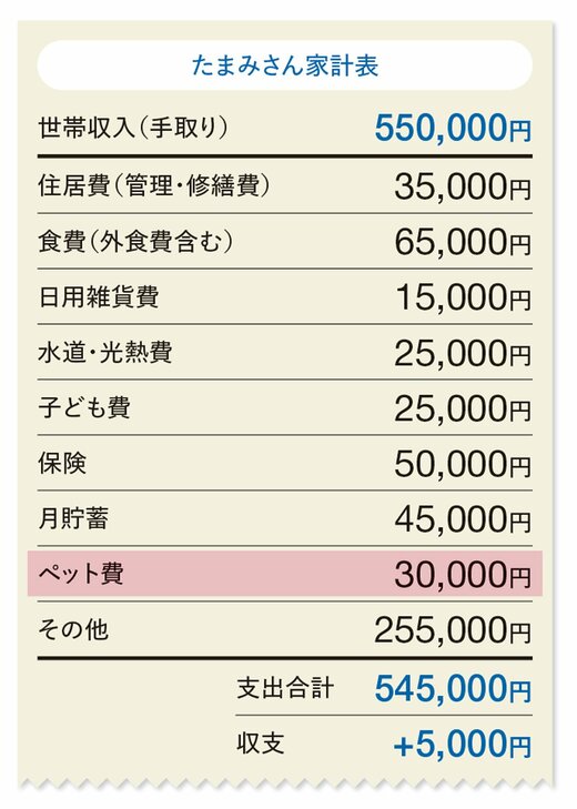 たまみさん家計簿