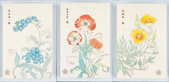 贈り物にもうれしい封筒形パッケージの花の種