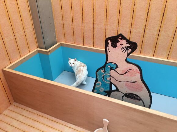 入浴中（？）の猫