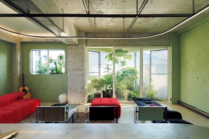 自然光をたっぷりと浴びる植物たち