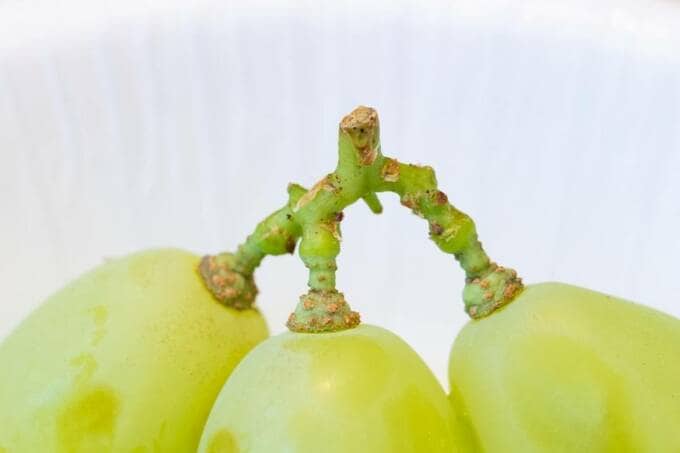 食べごろの粒の見分け方と保存方法は…。