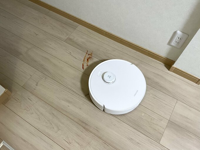 ロボロック掃除シーン