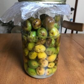 散歩中に出合った梅でシロップづくり。自然が教えてくれたこと＜暮らしっく＞