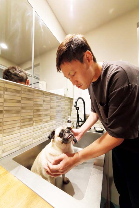 グルーミングしやすい洗面台