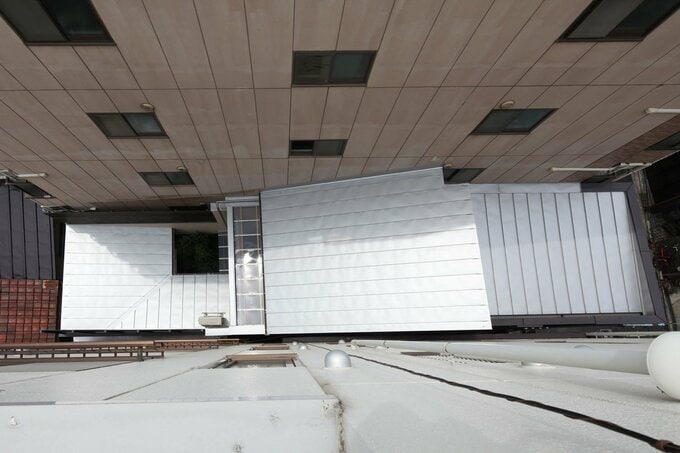 光庭に、葉が小振りなイロハモミジ