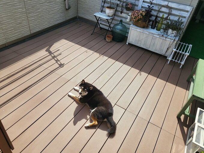 日向ぼっこできるベランダ