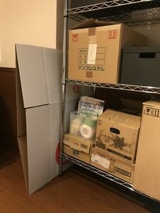 ダンボールベッド