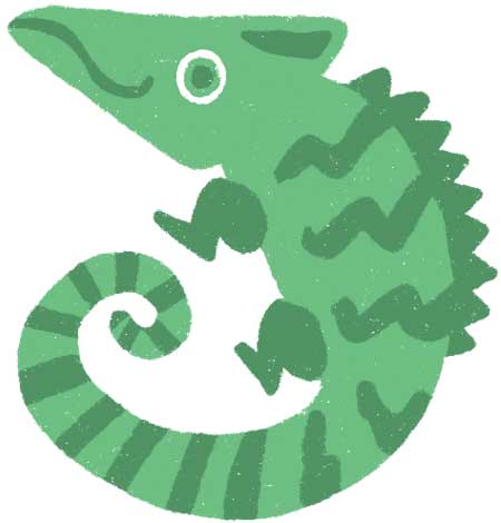 銀のカメレオン座