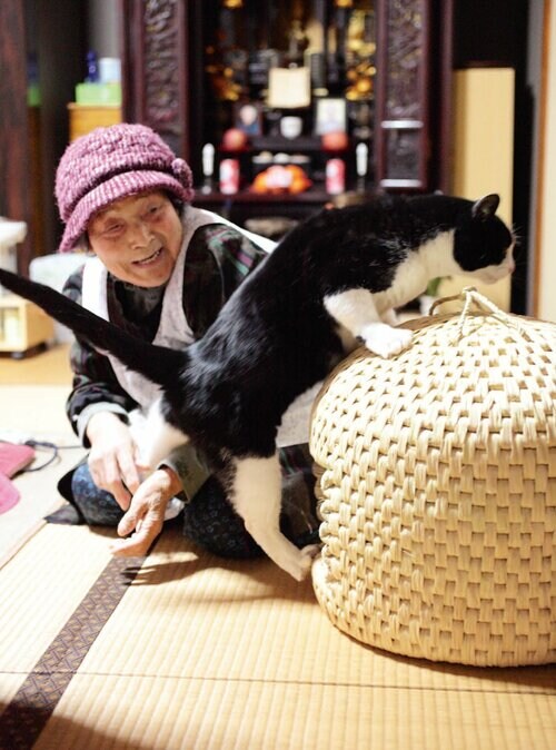 猫とシニア女性