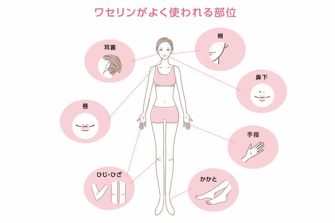 ワセリンがよく使われる部位