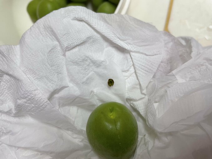 梅のヘタをとる