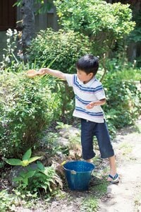 庭の植木に水やりをすると、ひんやり
