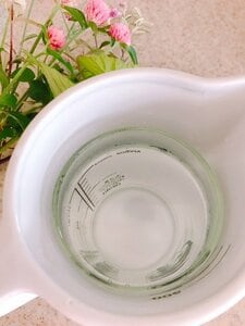 中はこんな感じ