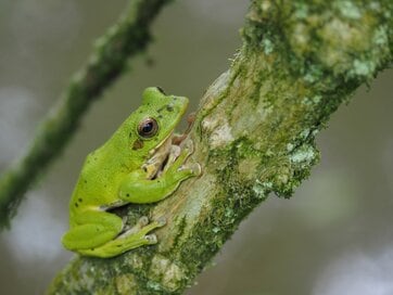 「ムツゴロウさんに救われた」自然破壊への恐怖を抱えた小学生が見つけた希望の生き方