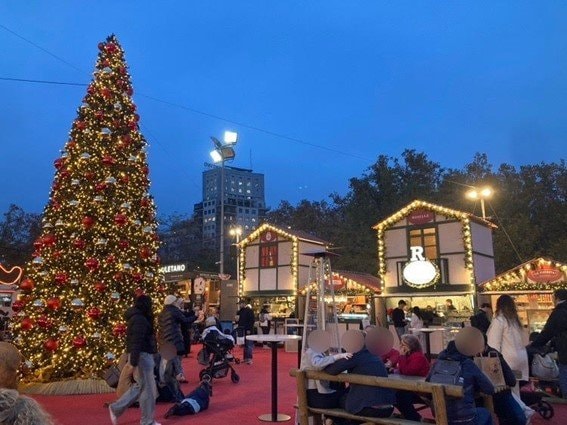 クリスマスツリー