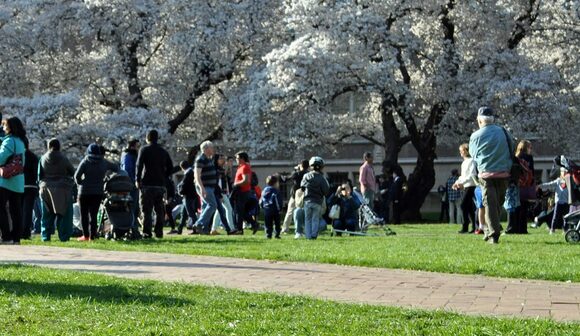 週末のお花見ランチはラグやブランケットをおともに