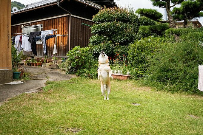習慣を定着化できたらいい