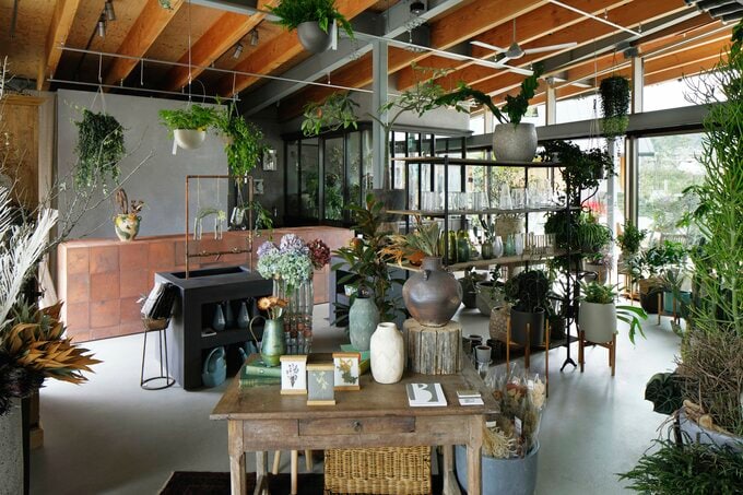 おしゃれな植物がそろうボタニカルショップ