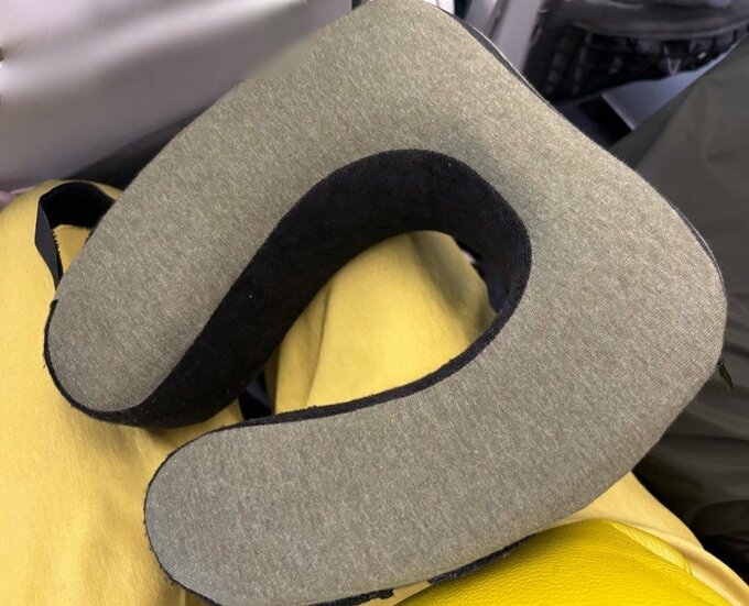 写真：使っているネックピロー