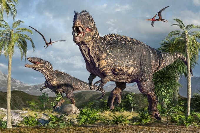 ※画像はイメージです(画像素材:PIXTA)