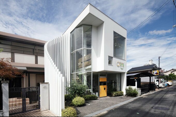 再度植え直したオリーブの木